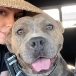 ninashouseofpitbulls profile picture