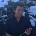 ninopaoli profile picture