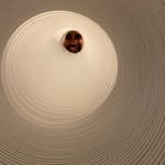 niquilly profile picture