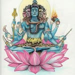 nirvana_trail profile picture