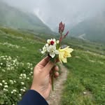 nish.a.singh profile picture