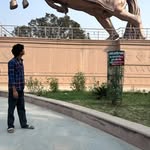 nitesh_soni_00 profile picture