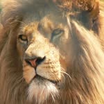 niteshvats11414703690 profile picture