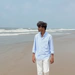 nitishvinayak001 profile picture