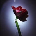 nmm.0 profile picture