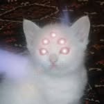 no1ded profile picture