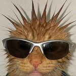 noah.a.garcia profile picture