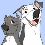 noah_and_lincoln profile picture