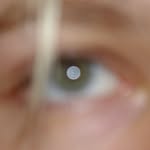 noahhanes1 profile picture