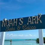 noahsarktci profile picture