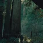 noahtholbert profile picture