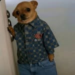 nobi.gaadu_leo15 profile picture