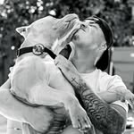 nobulldrew profile picture