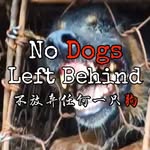 nodogsleftbehind profile picture