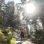 noeen_inshagallery profile picture