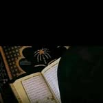 nohaay84 profile picture