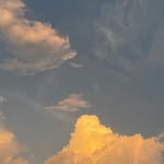 nolann_cult profile picture