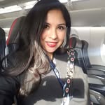 nomadicmeow profile picture