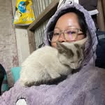 nomadic_pari profile picture