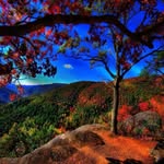 nomi_malik146 profile picture