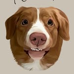 noodlethetoller profile picture