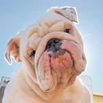 normanthesurvivor profile picture