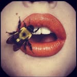 norrislizzie_ profile picture