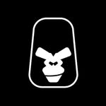 norulessports profile picture
