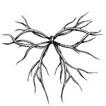 nosaviornyc profile picture