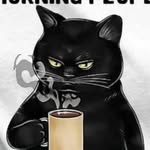 notashyguy622 profile picture