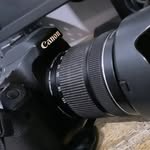 nothing_special_29 profile picture