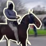 notlondonbased profile picture