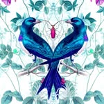 notprettydesign profile picture
