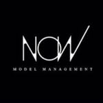 now_model_management profile picture