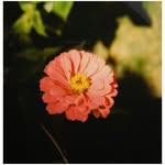 nr_worldai profile picture