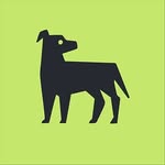 nspca_dublin profile picture
