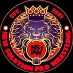 nspw_official profile picture