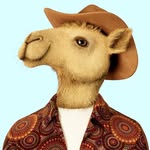 ntaustralia profile picture