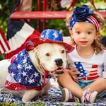 nubbydogrules profile picture