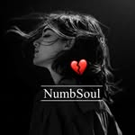 numbsoul_12 profile picture