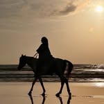 nuray.istiqbal profile picture