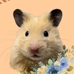 nurungi_hamster profile picture