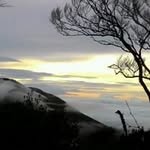 nwahyani profile picture