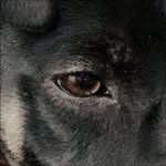 nxreh profile picture