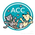 nycacc profile picture