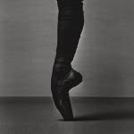 nycdanceproject profile picture