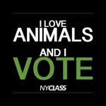 nyclass profile picture