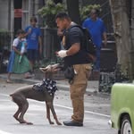 nycpawcademy profile picture