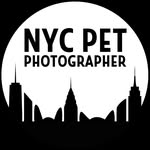 nycpetphotographer profile picture