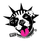 nycscr profile picture